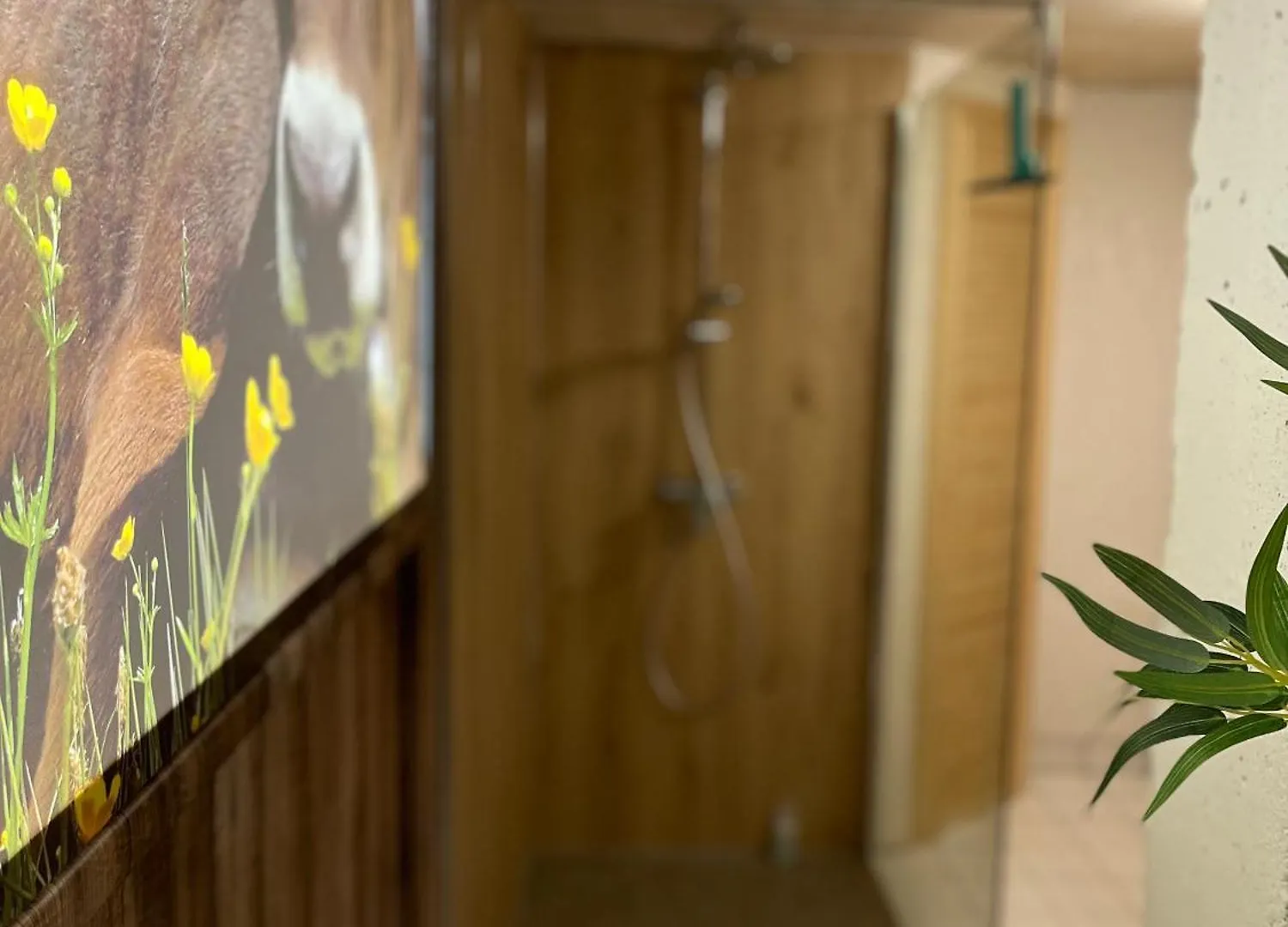 Ferienwohnung Am Muhlbach 21 Mit Bergbahn Unlimited Oberstdorf Germany
